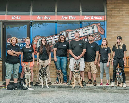 matt white dog trainer