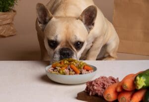 The Ultimate Guide to Dog Nutrition and Health