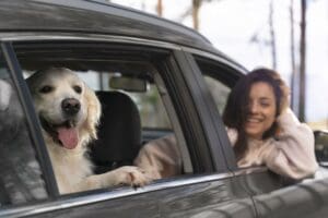 Traveling Safely With Your Dog