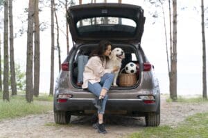 Traveling Safely With Your Dog