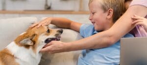 Dogs Are More Than Just Pets