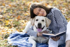 8 Amazing Facts About Labradors: Why They’re #1 in the World