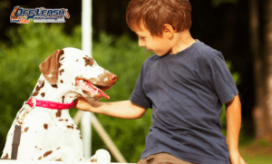 7 Fascinating Facts About Dalmatians You Need to Know