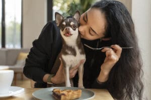 4 Essential Tips for Raising a Healthy and Happy Puppy