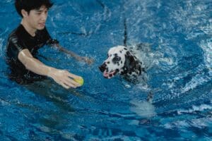 7 Fascinating Facts About Dalmatians You Need to Know