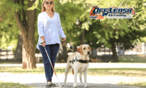 7 Amazing Facts of First Seeing-Eye Dog Gifted at Christmas