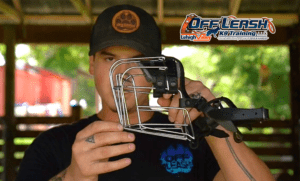 Incredible Reasons Why Muzzle Training is Vital for Your Dog