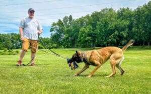 Ultimate Guide to Science-Based Dog Training You Must Know