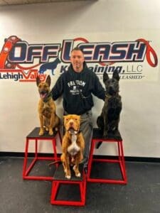 Adam Hunter – Dog Trainer – Lehigh Valley — Off Leash K9 Training of Lehigh Valley