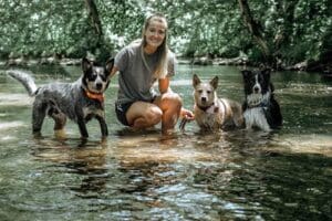 Angela McCavera – Dog Trainer – Lehigh Valley — Off Leash K9 Training of Lehigh Valley